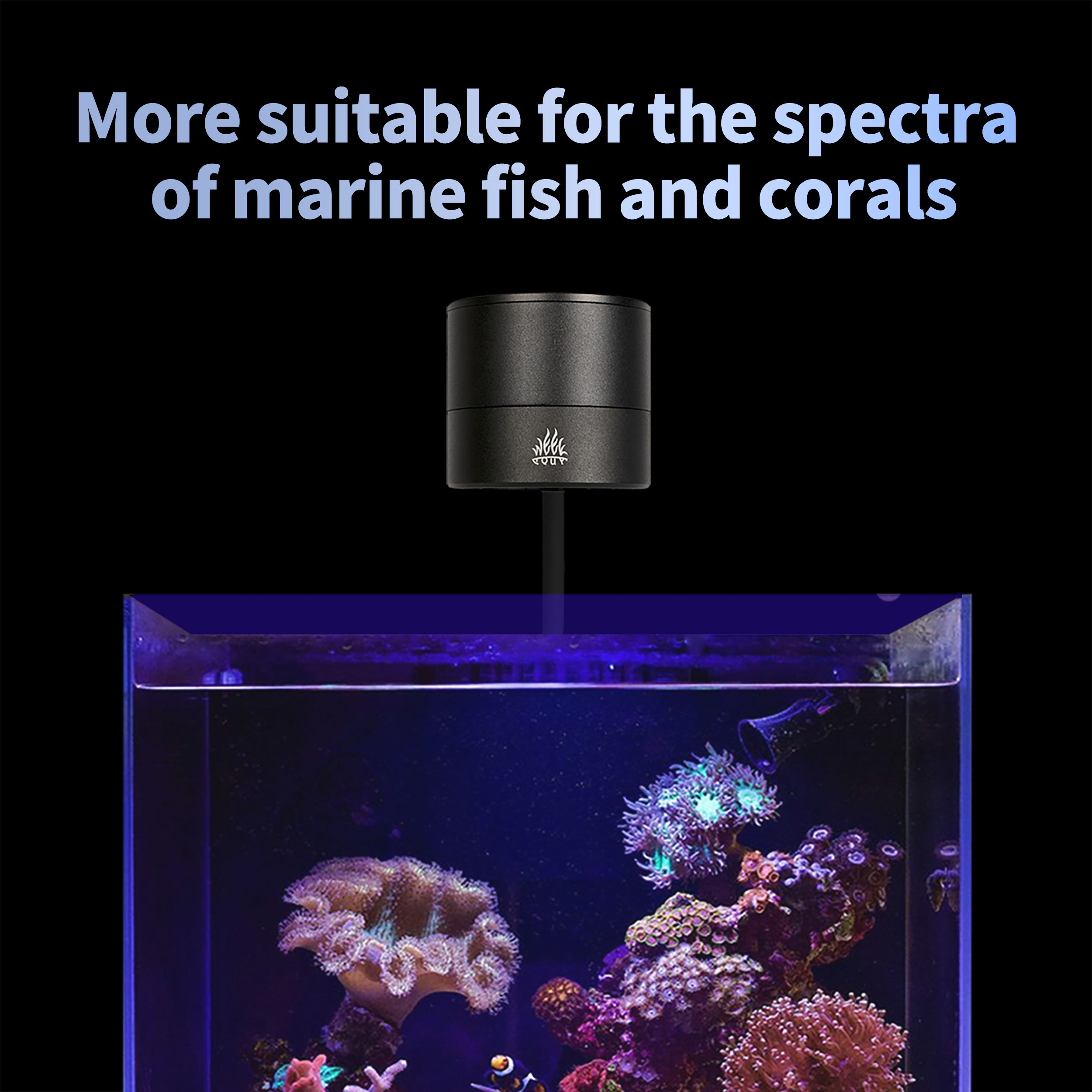 T95 Sea 50W полноспектральный  – обзор и цена Marine Aquarium Timing