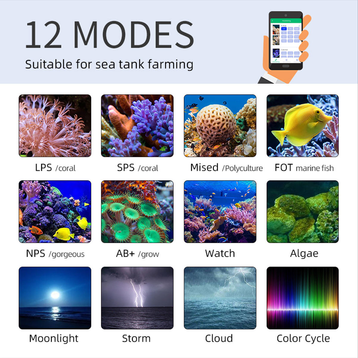 T95 Sea 50W полноспектральный  – обзор и цена Marine Aquarium Timing