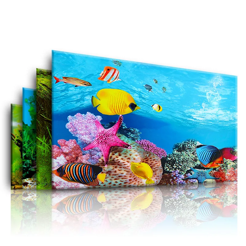 Фон для аквариума, 3d наклейка – обзор и цена Marine Aquarium For Sale