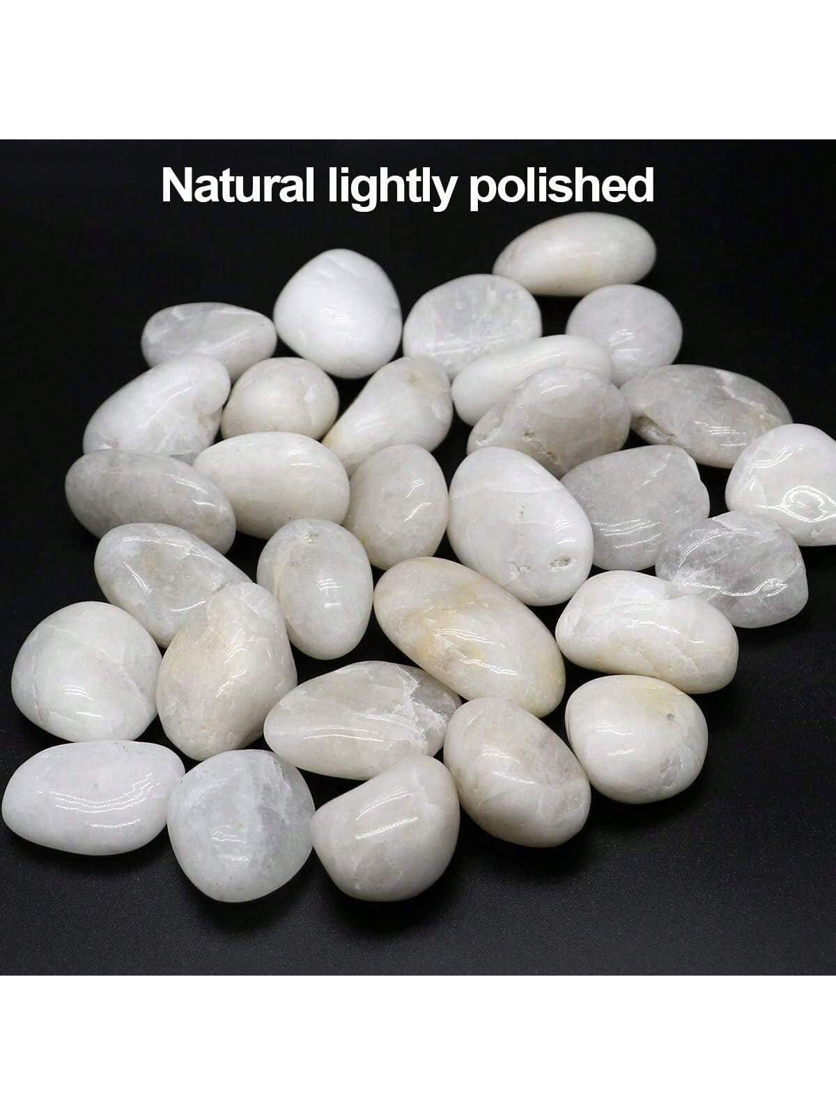 Речные камни Декоративные деко – обзор и цена Aquarium Marine Stone