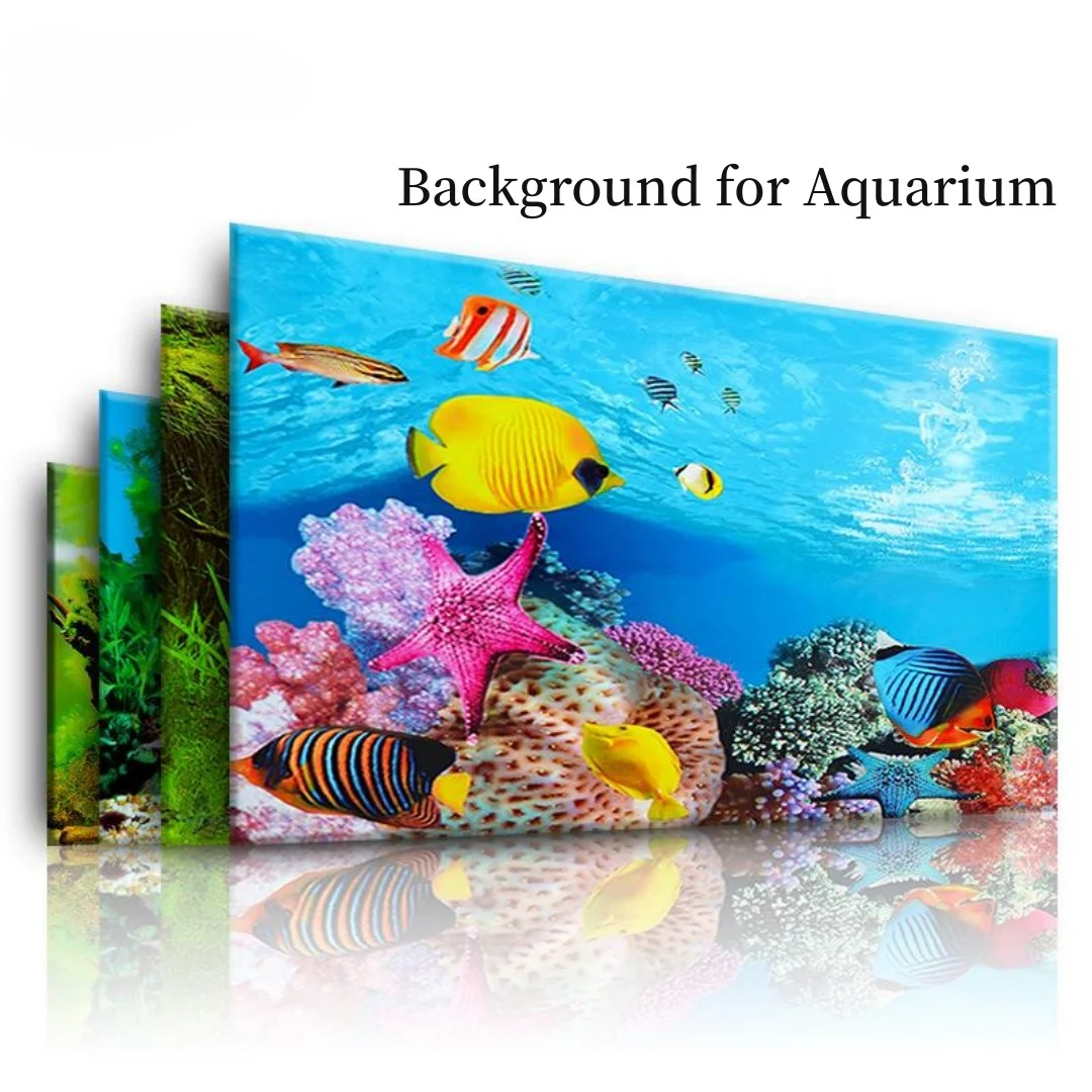 Фон для аквариума, 3D наклейка – обзор и цена Marine Aquarium For Sale