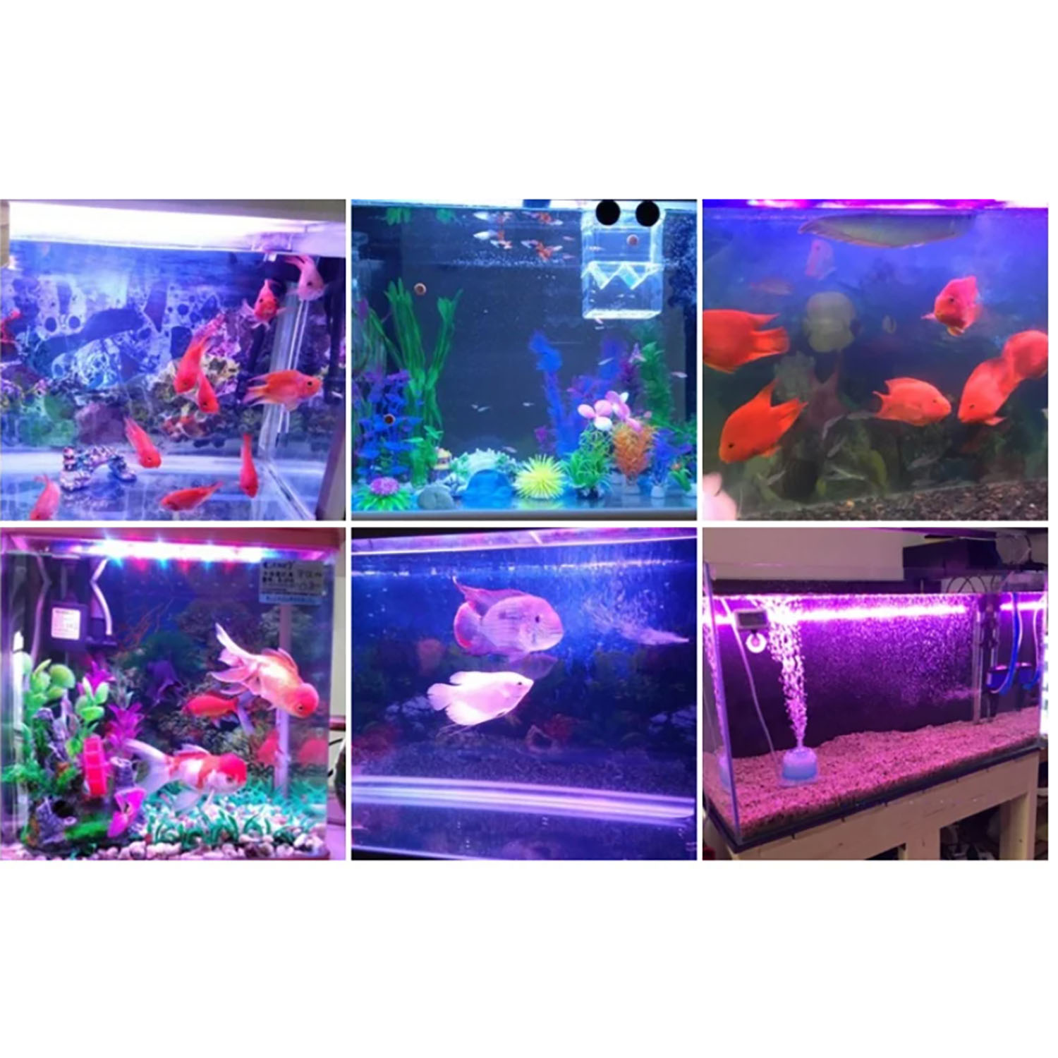 Светодиодное освещение для акв – обзор и цена Aquarium Marine Color
