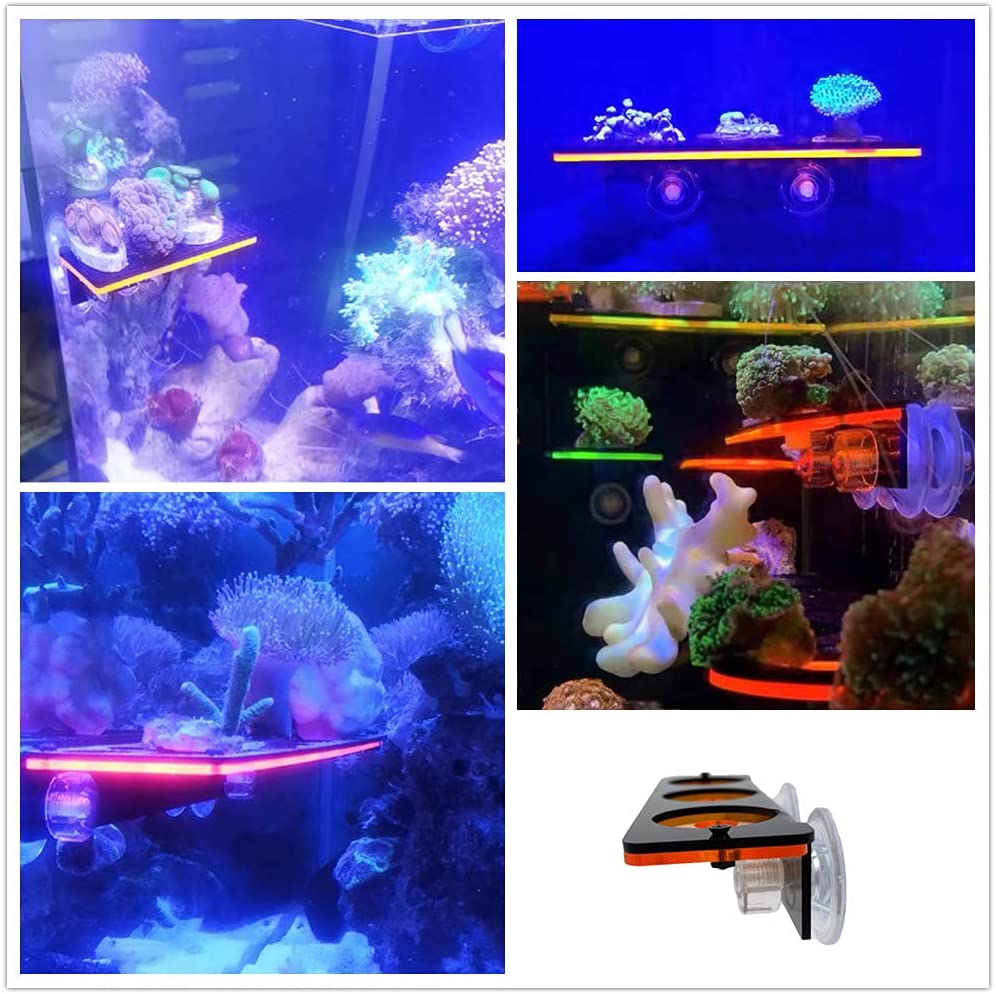 Флуоресцентный кронштейн для з – обзор и цена Marine Aquarium For Sale