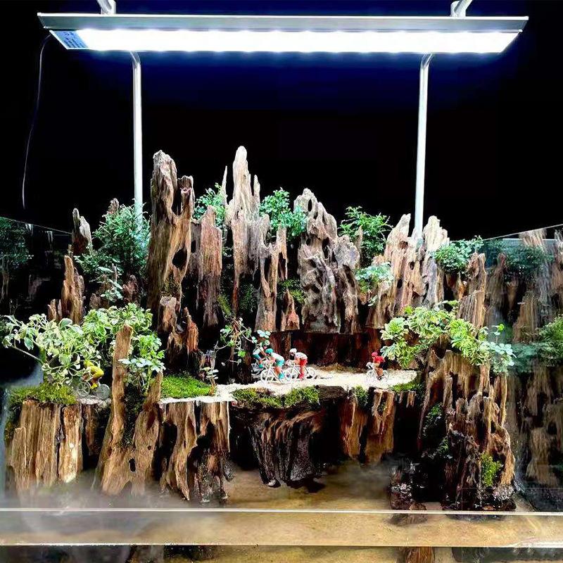 △   Декор для аквариума из кор – обзор и цена Marine Aquarium For Sale